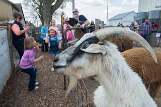 Open Farm Day Paper Pic 3