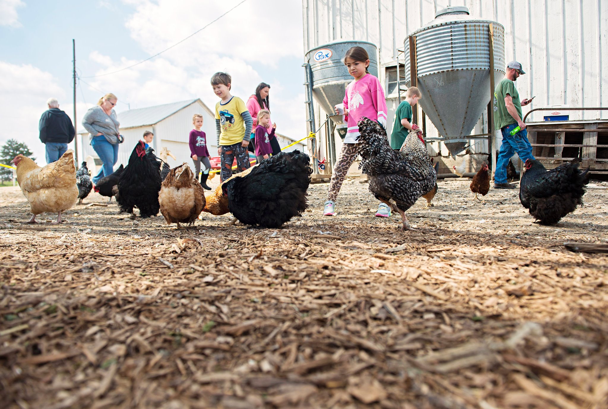 Open Farm Day Paper pics